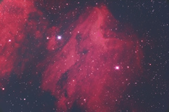 ペリカン星雲