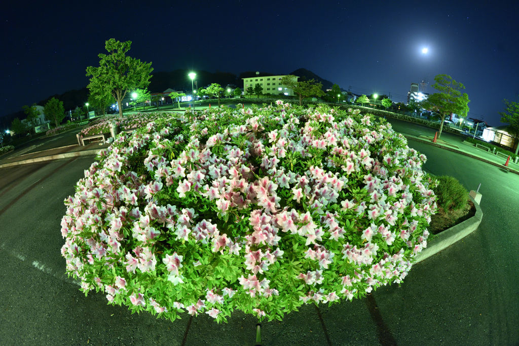 月夜の倉吉パークスクエア