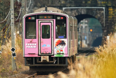 コナン快速ピンク