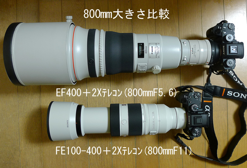 800mm大きさ比較