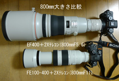 800mm大きさ比較