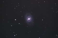 M95
