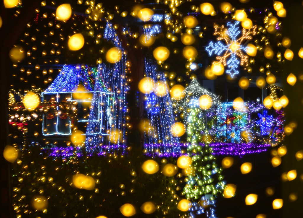 花回廊イルミネーション