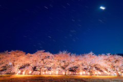豊房の桜と冬の星座・月