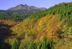 紅葉の裏大山
