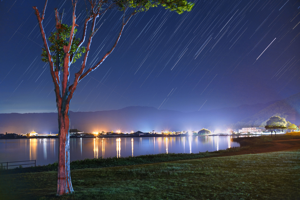 東郷湖の夜