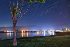 東郷湖の夜