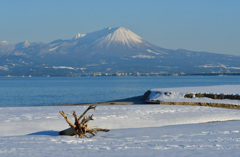 名峰大山と弓ヶ浜