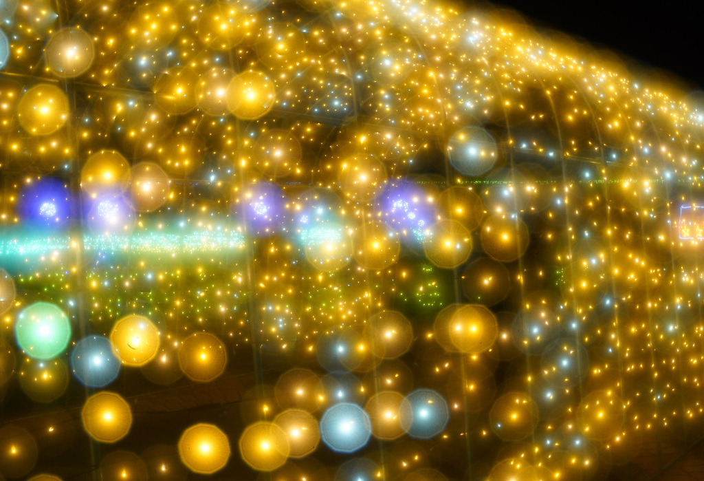 花回廊イルミネーション