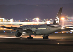 Night Arrival