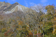 大山三ノ沢紅葉