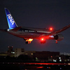 B787到着