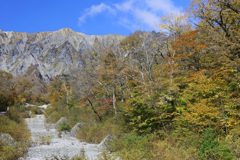 大山三ノ沢紅葉