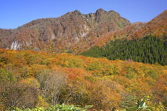 紅葉の裏大山