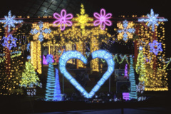 花回廊イルミネーション