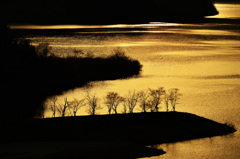 夕暮れの湖面