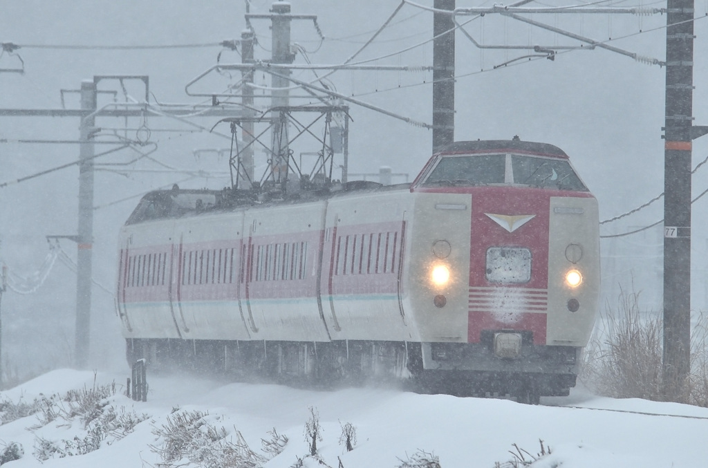 雪の特急やくも