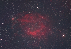Sh2-261