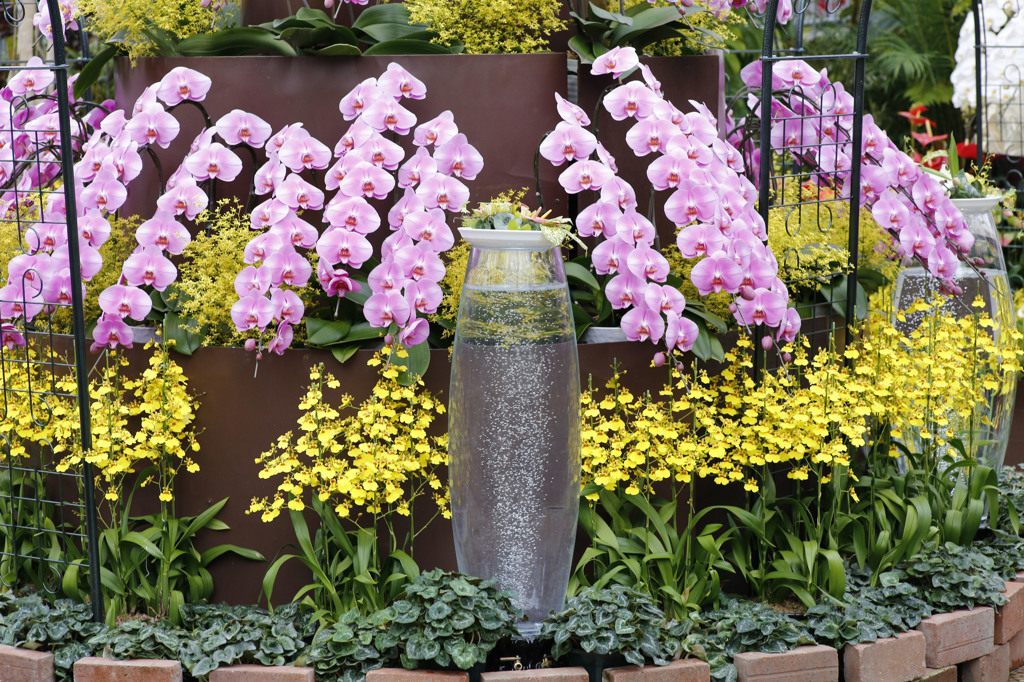 とっとり花回廊