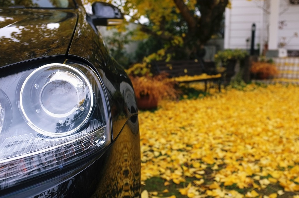 the car with yellow