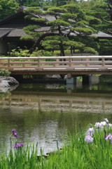 身近な風景　昭和記念公園