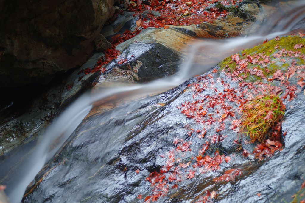 寒冷　払沢の滝