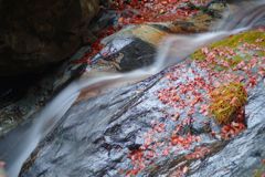 寒冷　払沢の滝