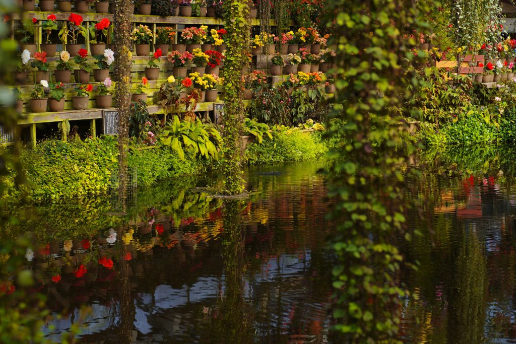 向春　水鏡　Ⅱ