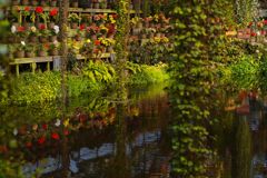 向春　水鏡　Ⅱ