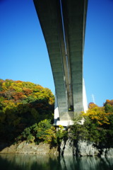 千秋楽　新小倉