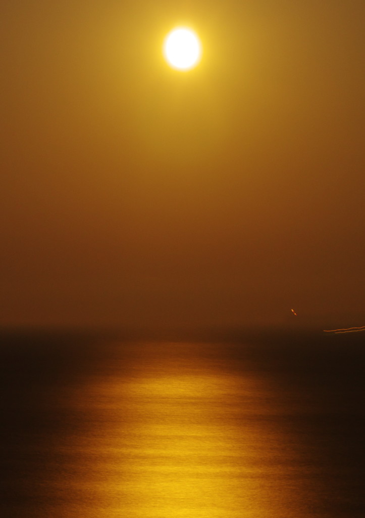 旅写真　十六夜