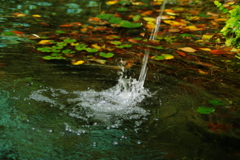 行秋　小便小僧池