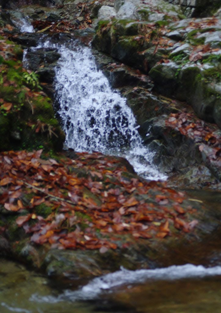 寒冷　払沢の滝　Ⅱ