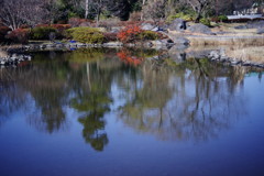 OLD LENS  昭和記念公園　Ⅱ