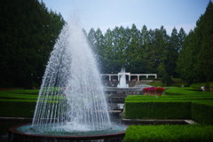 OLD LENS　県立相模原公園　Ⅱ