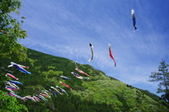 旅写真　皐月幟