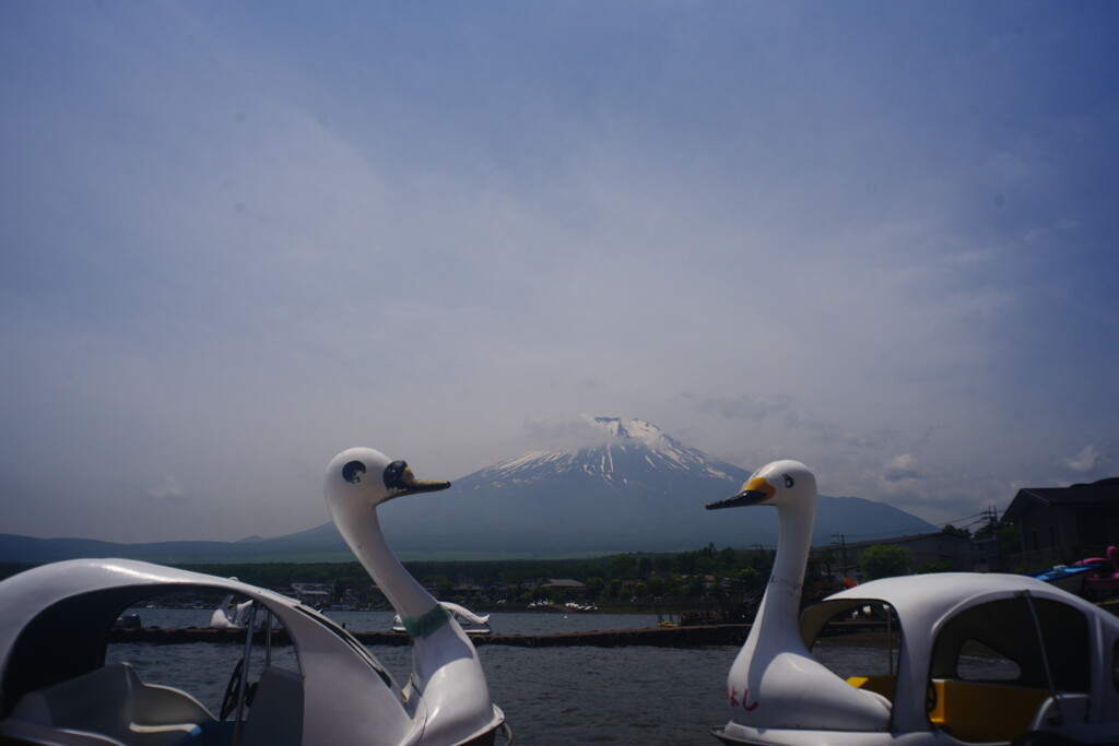 はつ夏　河口湖