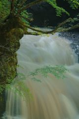 行秋　大柳川渓谷　Ⅲ