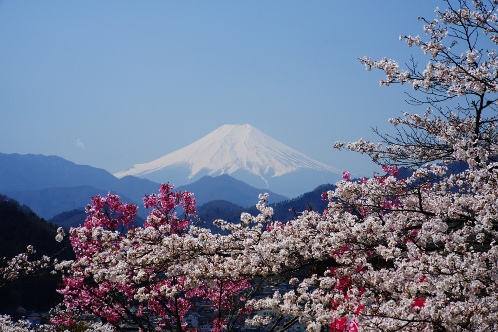 旅写真　富士山　Ⅱ