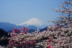 旅写真　富士山　Ⅱ