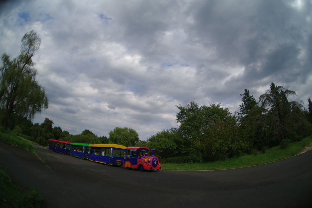 行秋　昭和記念公園　Ⅱ