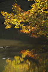 千秋楽  水鏡　Ⅱ