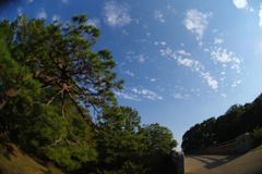 寒露　昭和記念公園　Ⅱ