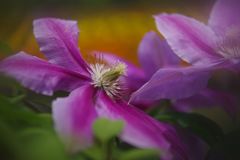 立夏　テッセン