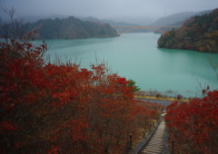 OLD LENS  津久井湖