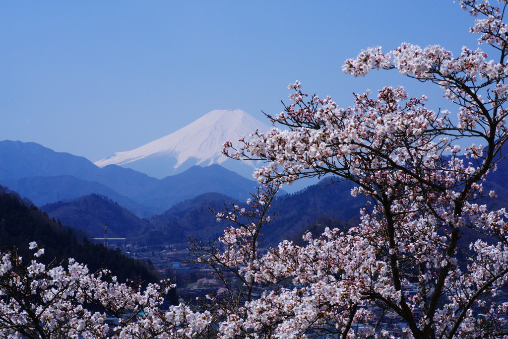 旅写真　富士山