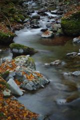 寒冷　秋川中流