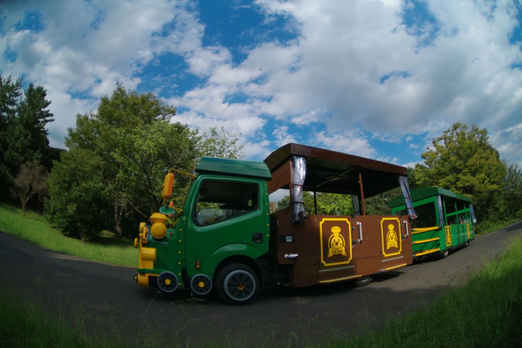 行秋　昭和記念公園