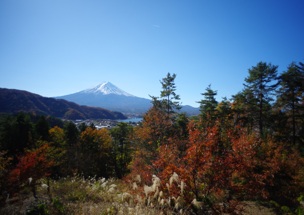 OLD LENS  名峰