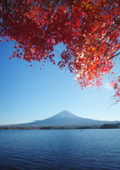 OLD LENS  名峰　Ⅱ